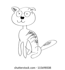 Cat on white