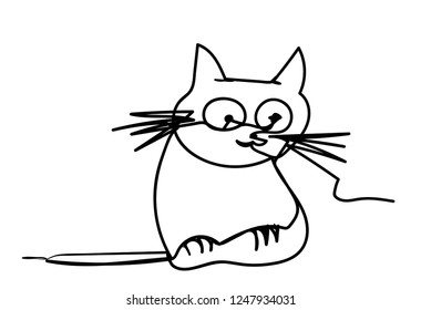 cat on the white
 
