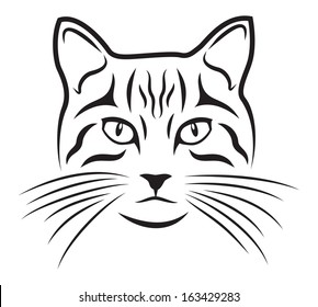 Cat on white background