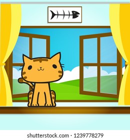 Cat on window.