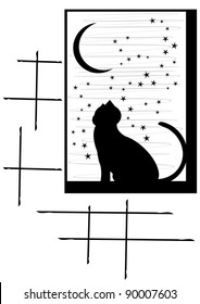 cat on window at night