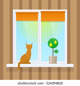 Cat on the window, summer