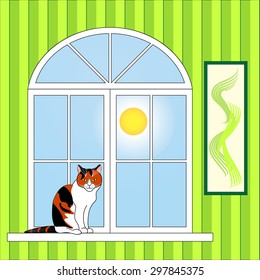 cat on the window on a Sunny day