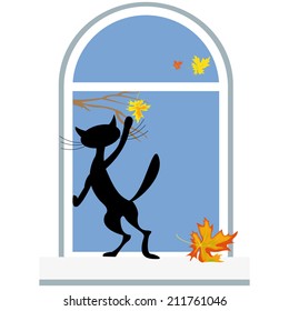 cat on windows and last maple leaf