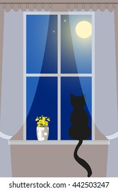 Cat on windowsill