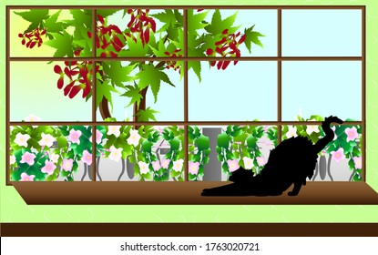 
cat on the windowsill, outside the window a maple tree and a fence covered with flowers