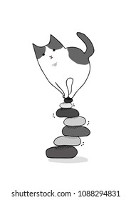 cat on wobbly stone piles