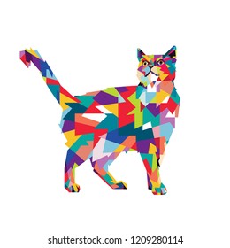 Cat on WPAP