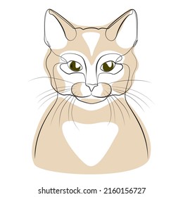 Cat one line drawing on white isolated background 