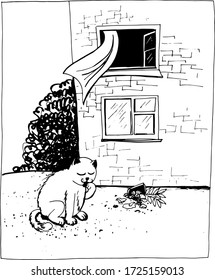 Cat, open widow and broken flower pot. Hand drawn card. Sketch