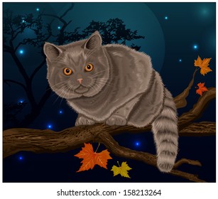 Cat with a orange eyes sitting on a branch on the night sky background. Vector illustration.