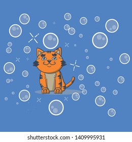 cat orange seeing water bubbles in the air 