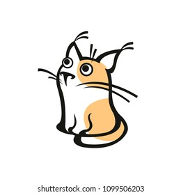 Cat with orange spots on white background