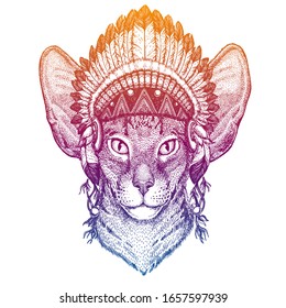 Cat. Oriental. Animal. Vector portrait in traditional indian headdress with feathers. Tribal style illustration for little children clothes. Image for kids tee fashion, posters.