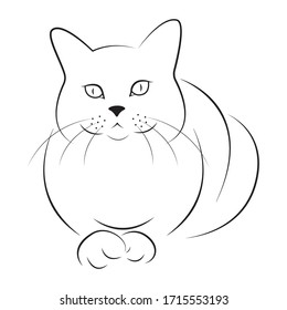 Cat, outline black and white vector illustration, icon