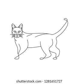 cat outline design full of one body