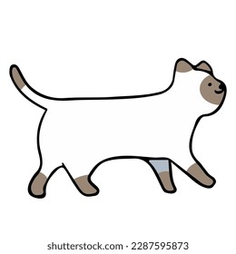 A cat in an outline style character design and a flat design style minimal vector illustration.