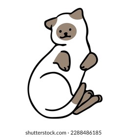 A cat in an outline style character design and a flat design style minimal vector illustration.