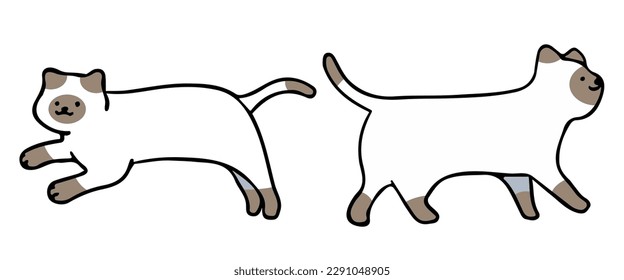 A cat in an outline style character design and a flat design style minimal vector illustration.