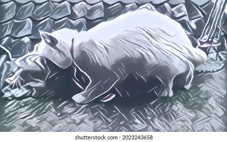 Cat painting,  very cool color and realistic 