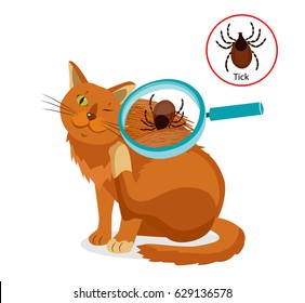 Cat Parasites Vector. Tick On Cat In The Fur As A Close Up Magnification Vector. Spread Of Infection. Veterinary Medicine Vector.