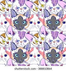 cat pattern
