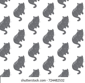cat pattern