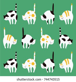 CAT PATTERN