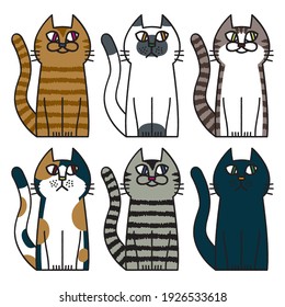Cat Pattern Animal Pet Creature