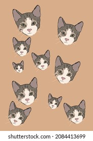 Cat pattern design vector 