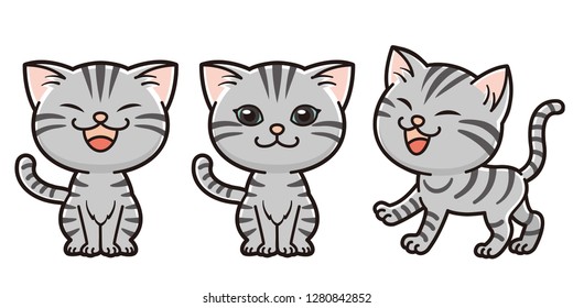 Cat pattern illustration