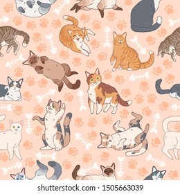 Cat pattern. Seamless texture with cute multicolor cats, kids wallpapers with funny happy pets, fabric textile vector meowing crazy animals background decor