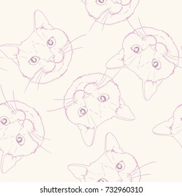 cat pattern ,vector, illustration