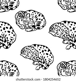 The cat pattern.Sleeping Bengal cat surrounded by leopard spots