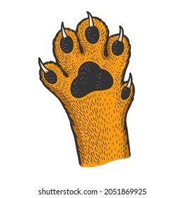 cat paw color sketch engraving vector illustration. T-shirt apparel print design. Scratch board imitation. Black and white hand drawn image.