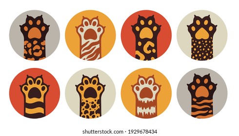 Cat paw highlight story pet animal cute.Kitten cartoon flat icon.Hand drawn doodle style.Vector illustration.
