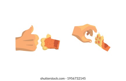 Cat Paw and Human Hand Gesturing Showing Thumb Up and Clutching Vector Set