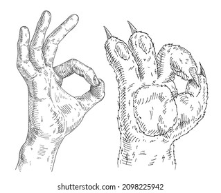 Cat paw and human hand sign showing sign okay. Vintage vector monochrome gray hatching illustration isolated on white background. Hand drawn design element for t-shirt