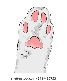 Cat Paw ink vector illustration