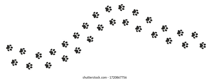 Cat paw. Pet foot trail print. Step shape. Vector illustration