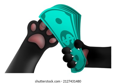 cat paw puts a stack of dollars in cat palm. Economic crimes, giving bribes to officials. Return of debt to the bank. Cartoon vector on white background
