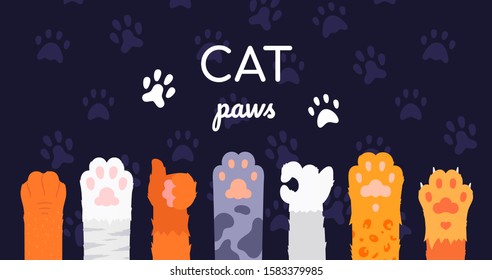 Cat paws collection - flat design style illustration on dark background. A set of hand gestures, ok, thumb up symbols. Feet of different kittens, ginger, white, grey, tabby. Cute pets footprints