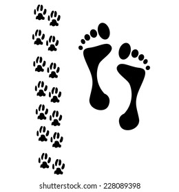 cat paws and human foot. vector illustration