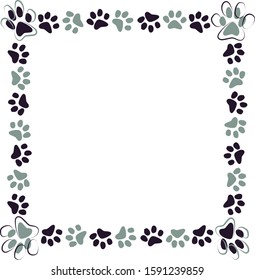 Cat paws isolated frame .