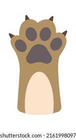 Cat Paws Kitten Leg. Vector illustration