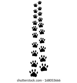 cat paws print vector illustration