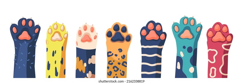 Cat Paws Row, Collection of Various Cute Kitten Legs, Domestic Animal Foot Isolated on White Background. Different Funny Pet Paws with Claws, Graphic Design Elements. Cartoon Vector Illustration, Set