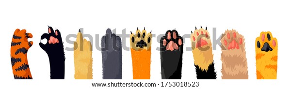 Cat Paws Row, Collection of Various Cute Kitten Legs,\
Domestic Animal Foot Isolated on White Background. Different Funny\
Pet Paws with Claws, Graphic Design Elements. Cartoon Vector\
Illustration, Set