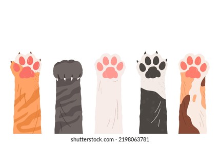Cat paws in various patterns and colors. Collection of cute cat paws vector illustrations.