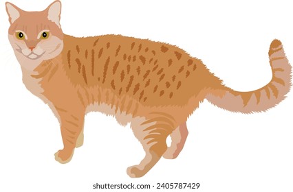 A cat with peach-colored spots. Vector image of a pet.